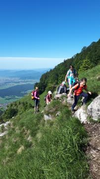tabor HB 22 (13)